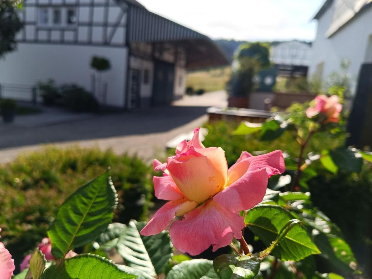 Apartamento Kleine Auszeit Eslohe Exterior foto
